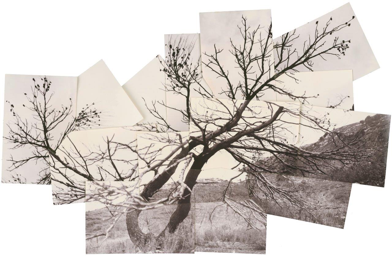 Θραύσματα, 1982-2022, Ακρυλικό και κάρβουνο πάνω σε κολάζ φωτογραφιών τυπωμένων σε αρχειακό χαρτί, 177,5x286 εκ.